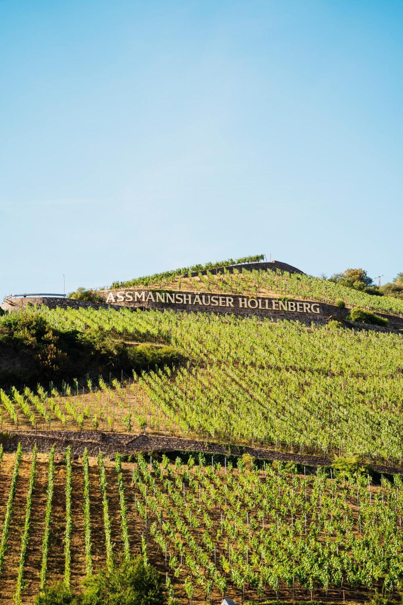 Akzent Hotel Berg'S Alte Bauernschaenke- Wellness Und Wein 로데스하임암라인 외부 사진